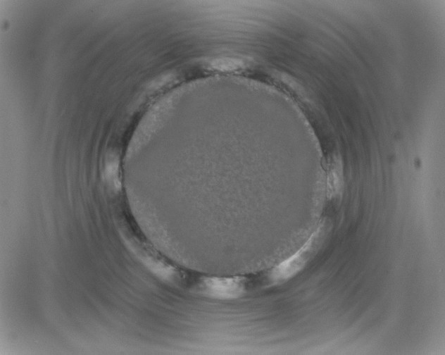 X0000080770187200701021131