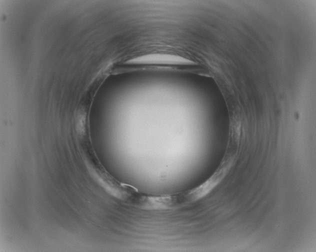 X0000080770188200701021131