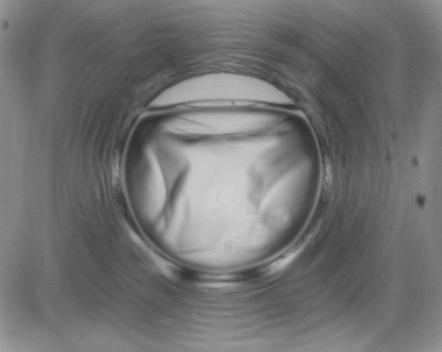 X0000080770189200701021131