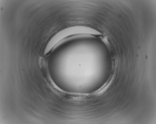 X0000080770190200701021131