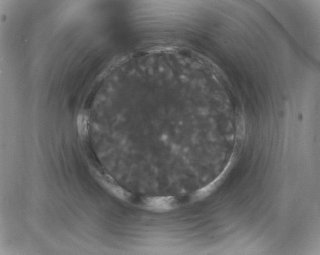 X0000080770191200701021131