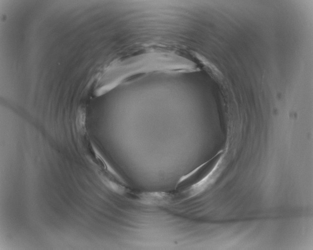 X0000080770192200701021131