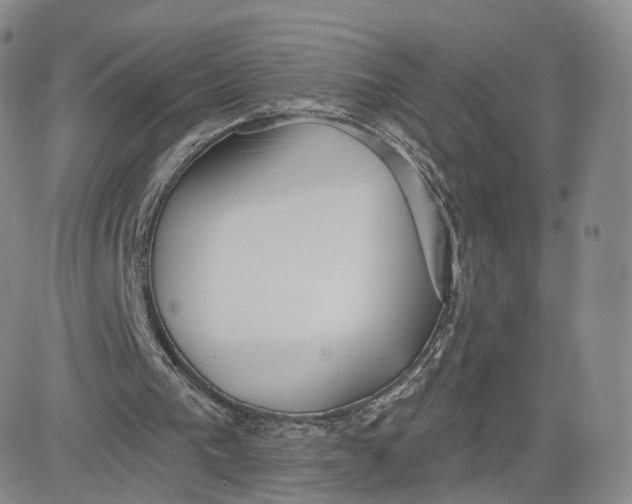 X0000080770193200701021131