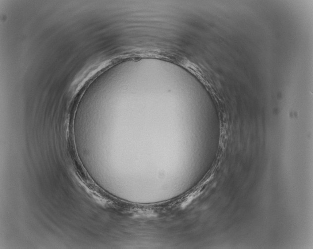 X0000080770194200701021131