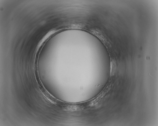 X0000080770195200701021131