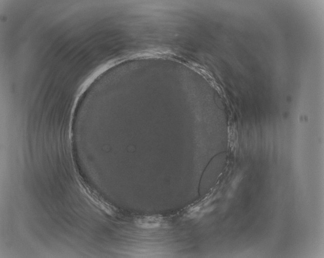 X0000080770196200701021131