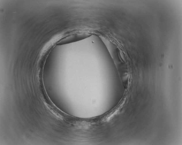 X0000080770197200701021131