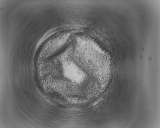 X0000080770198200701021131