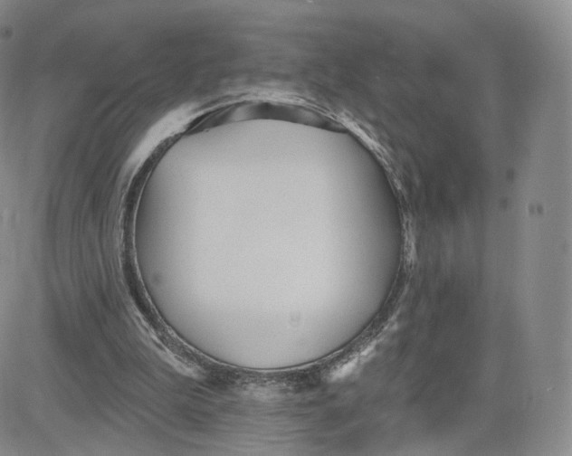 X0000080770199200701021131