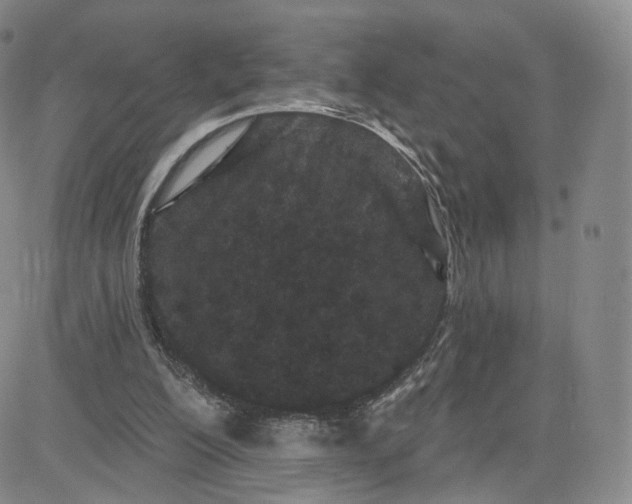 X0000080770200200701021131