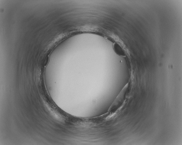 X0000080770201200701021130