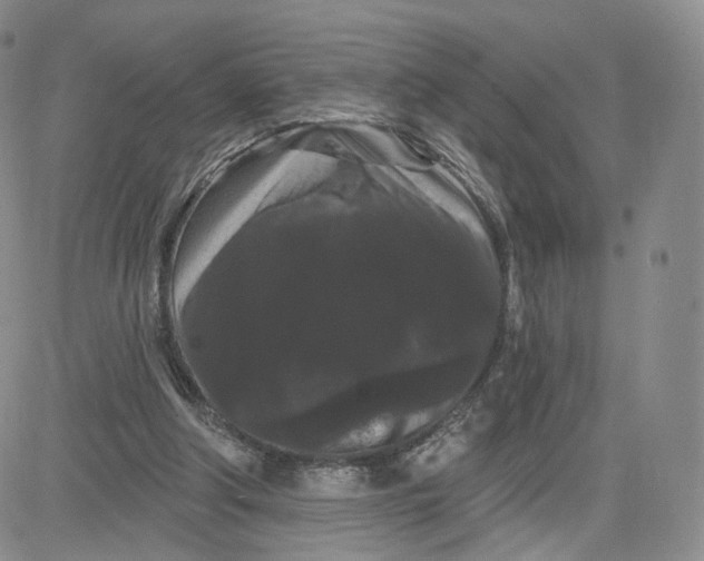 X0000080770202200701021130