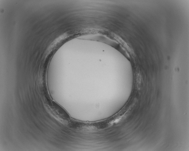 X0000080770203200701021130