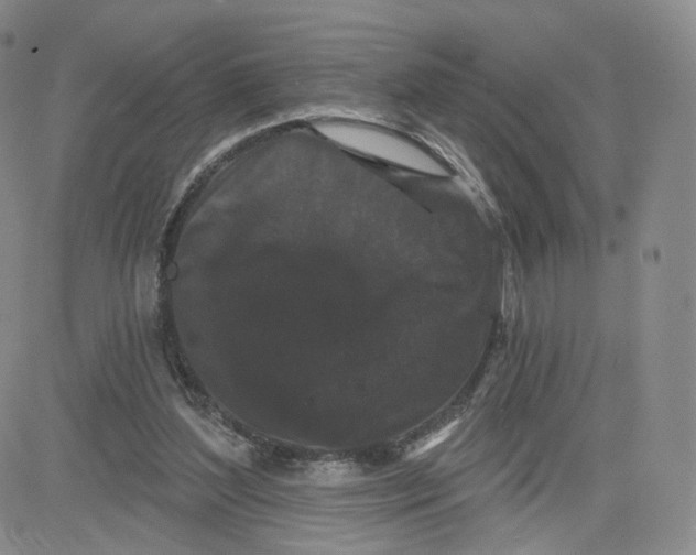 X0000080770204200701021130