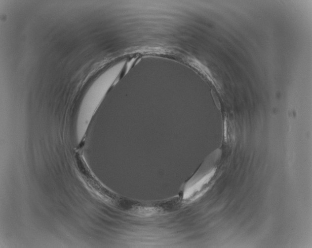 X0000080770205200701021130