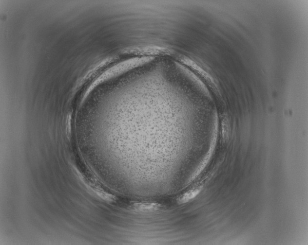 X0000080770206200701021130