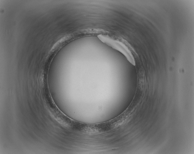 X0000080770207200701021130