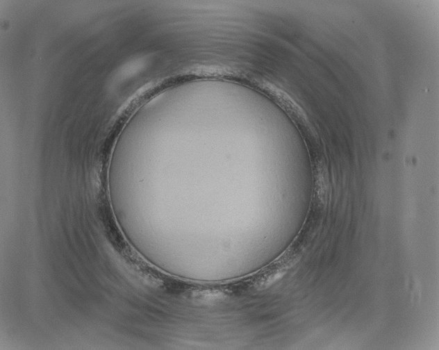 X0000080770208200701021130