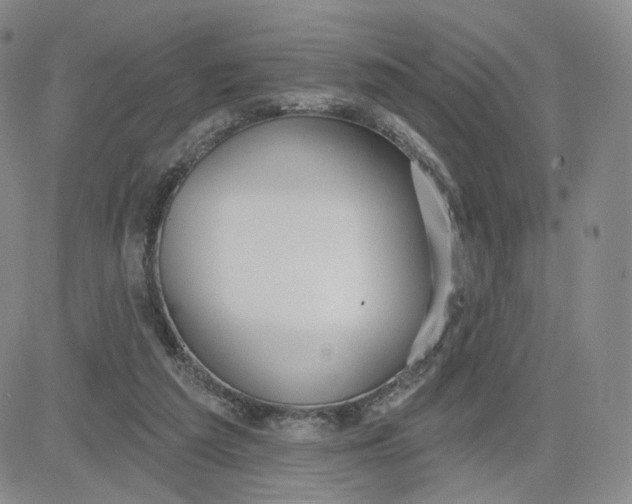 X0000080770209200701021130