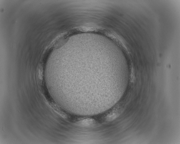 X0000080770210200701021130