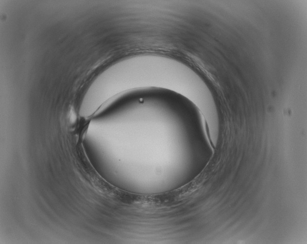 X0000080770211200701021130