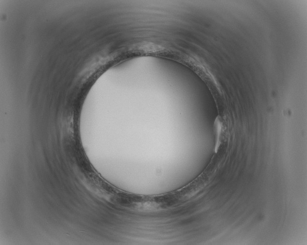 X0000080770212200701021130