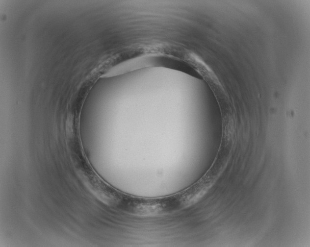 X0000080770213200701021130