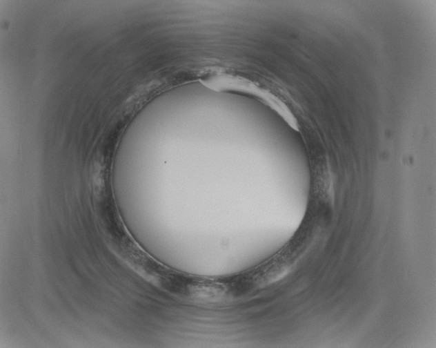 X0000080770215200701021130