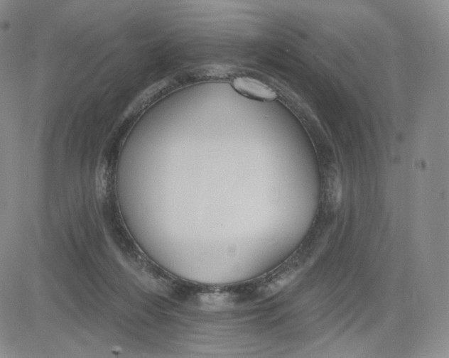 X0000080770216200701021130