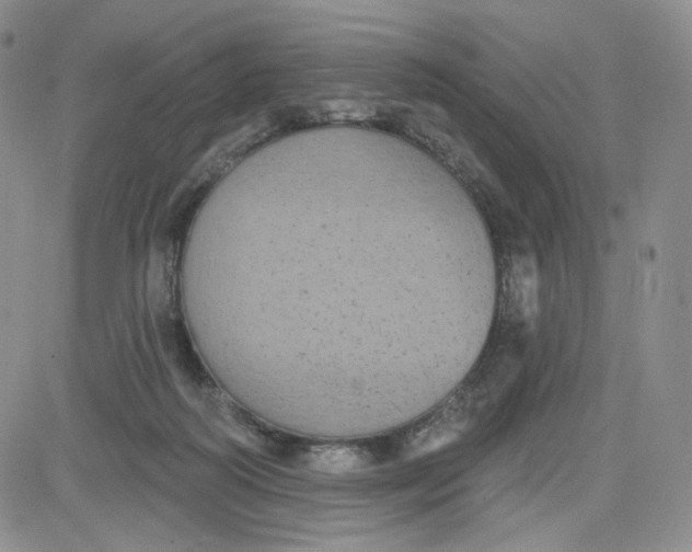 X0000080770218200701021130