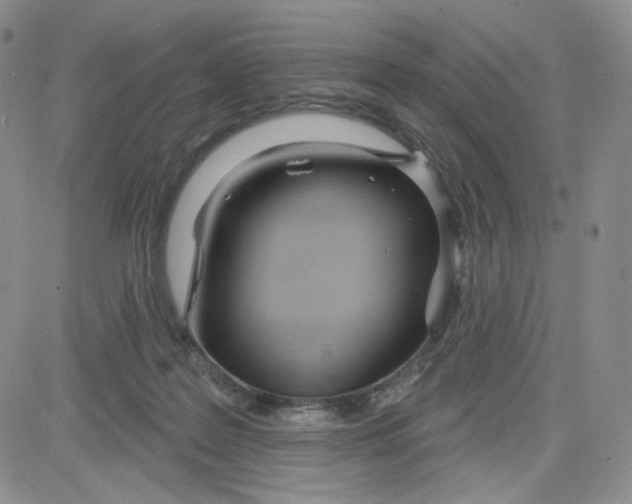 X0000080770219200701021130