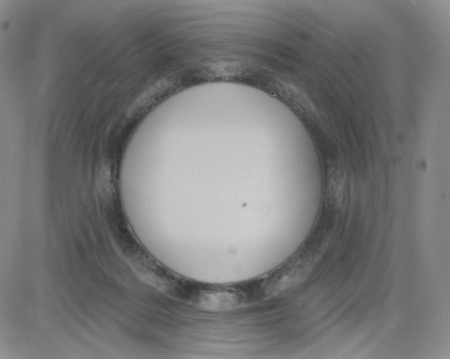 X0000080770220200701021130