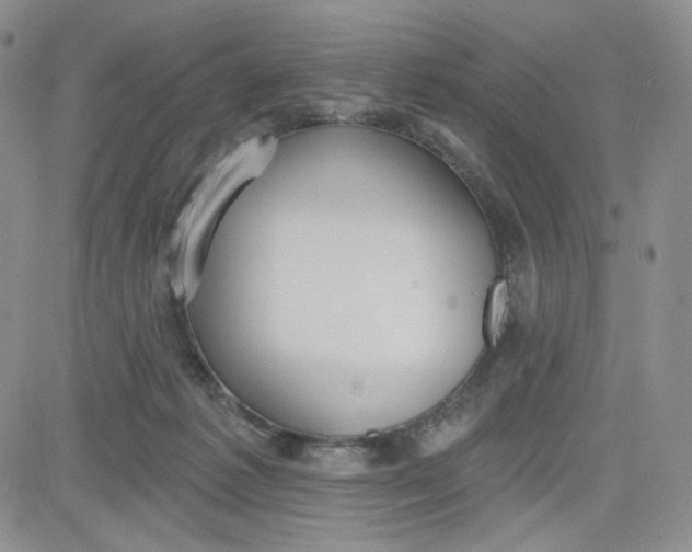 X0000080770221200701021130