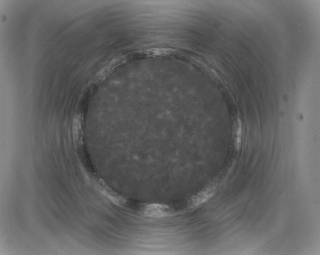 X0000080770222200701021130