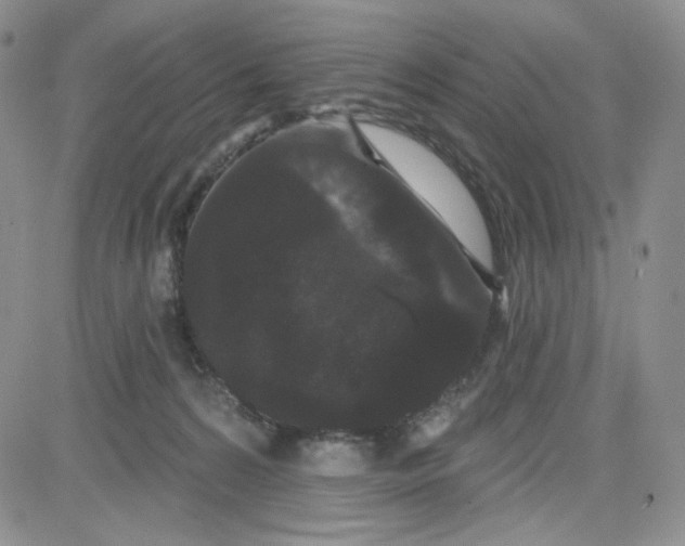 X0000080770224200701021130