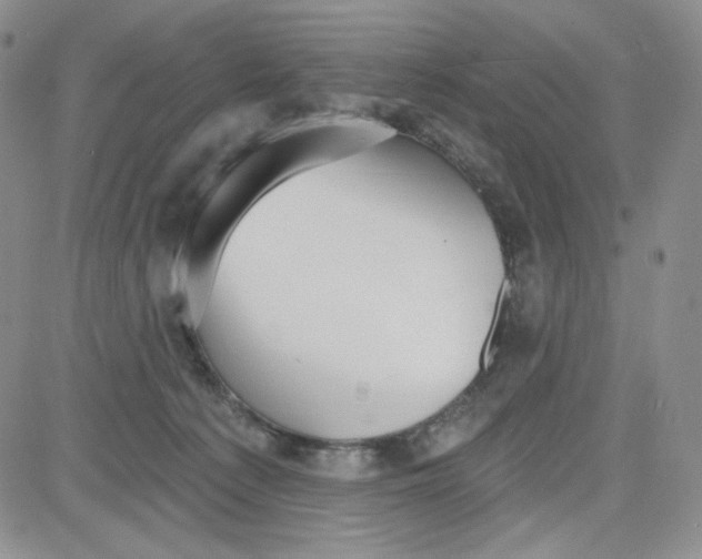 X0000080770225200701021130