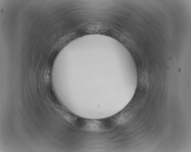 X0000080770226200701021130