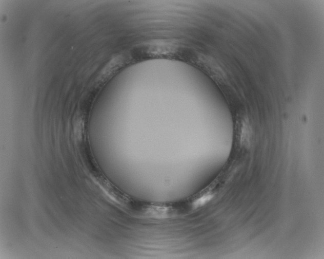 X0000080770227200701021130