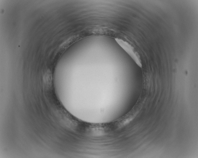 X0000080770228200701021130