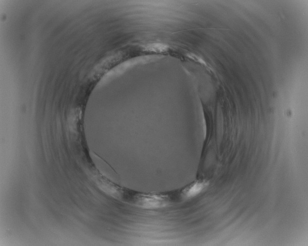 X0000080770229200701021130