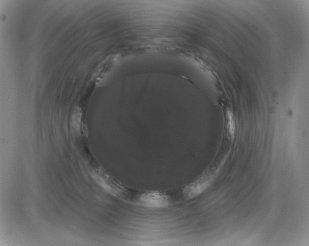 X0000080770231200701021130