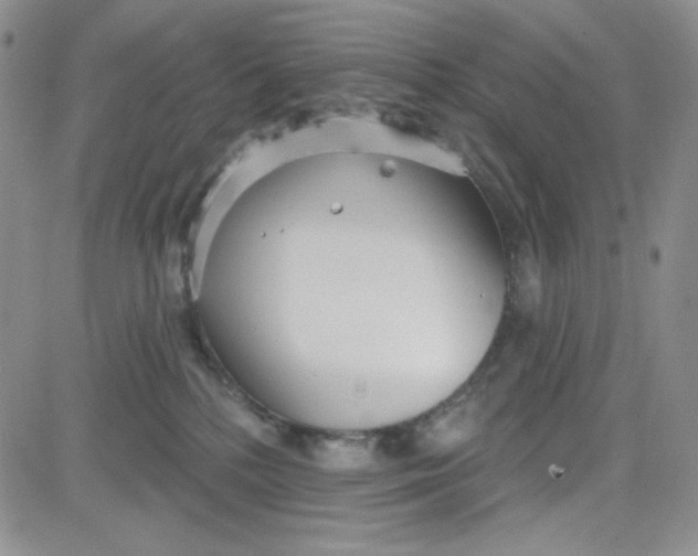 X0000080770232200701021130