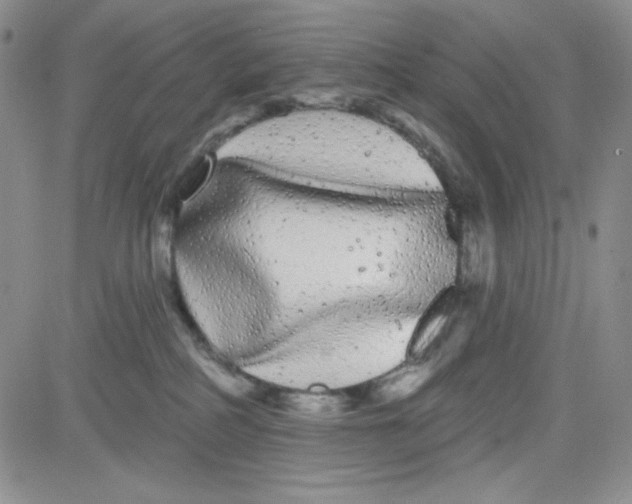 X0000080770234200701021130