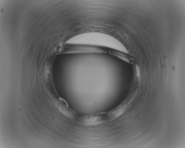 X0000080770235200701021130