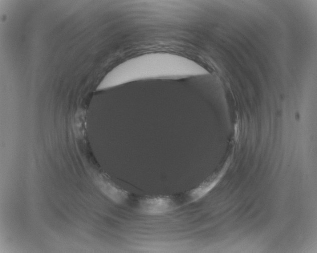 X0000080770237200701021130