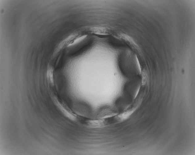 X0000080770238200701021130