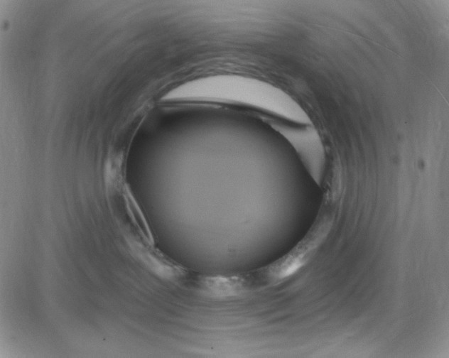 X0000080770239200701021130