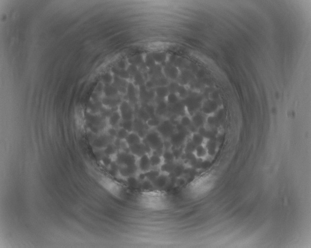 X0000080770240200701021130