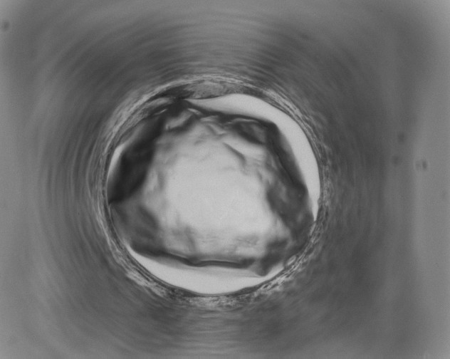 X0000080770241200701021129