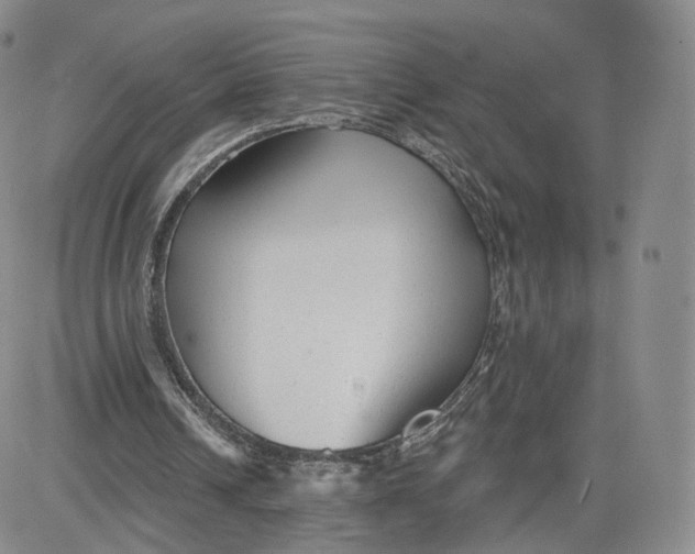 X0000080770242200701021129